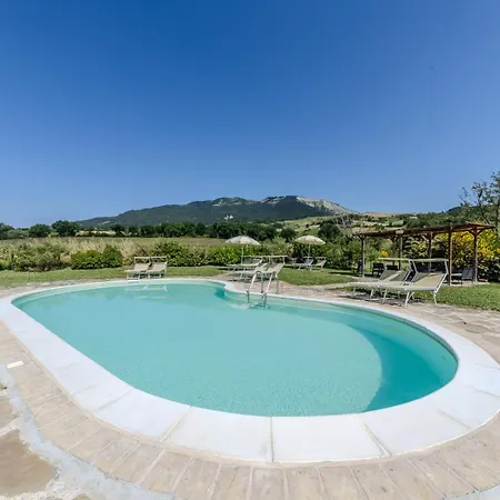 Dai Du Bourdei * Frontino