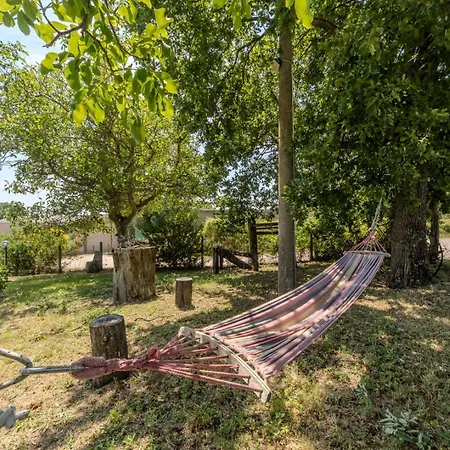 Dai Du Bourdei * Frontino