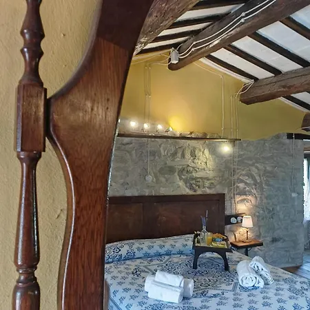 Dai Du Bourdei * Frontino